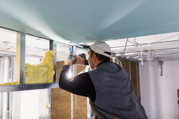 Best Insulation Maintenance and Repair in Federal Y, WA