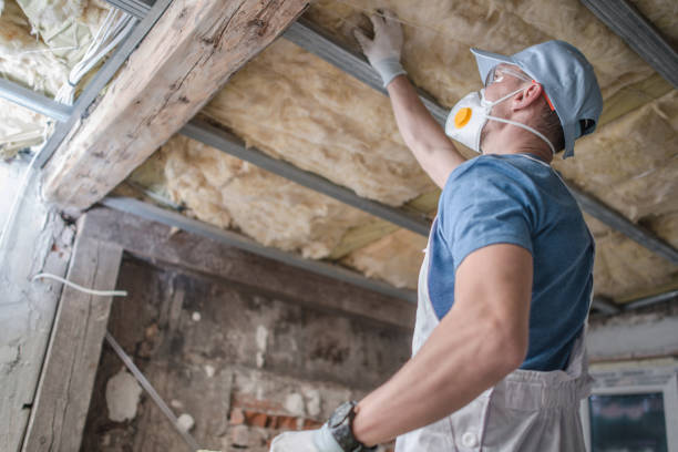 Best Geographic-Specific Insulation Services in Federal Y, WA