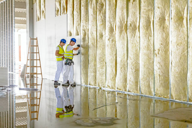 Best Eco-Friendly Insulation in Federal Y, WA